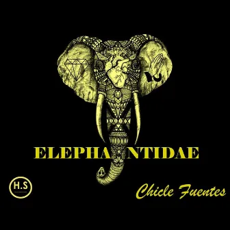 Elephantidae by Carter Fuentes