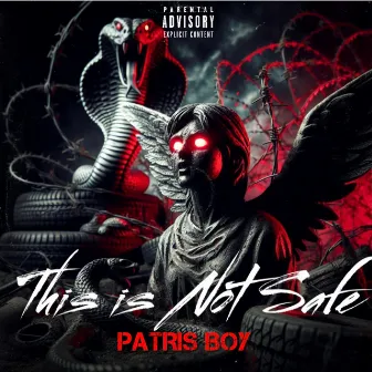 This Is Not Safe by Patris Boy