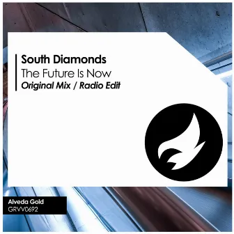 The Future Is Now by South Diamonds