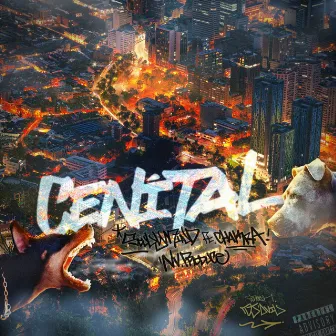 Cenital by Soul.Y.Mind