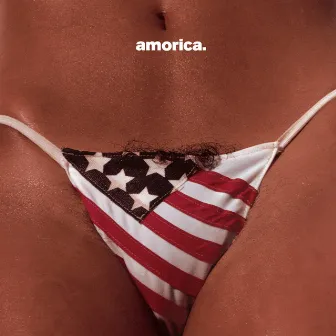 Amorica. by The Black Crowes