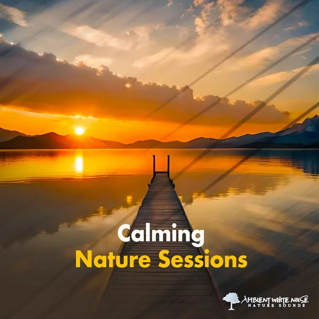 Calming Nature Sessions