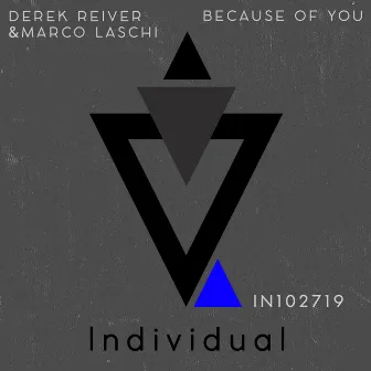 Because of You by Derek Reiver