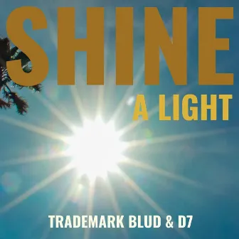 Shine a Light by Trademark Blud