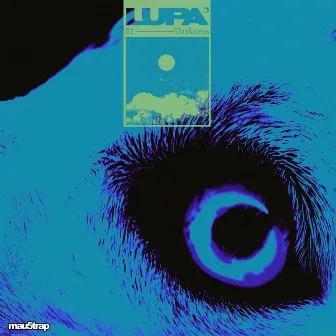 Darkness by LUPA