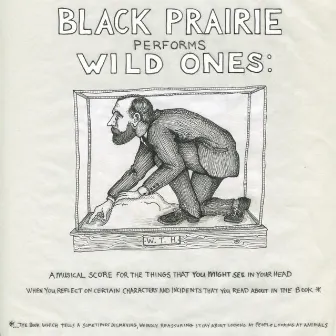 Wild Ones by Black Prairie