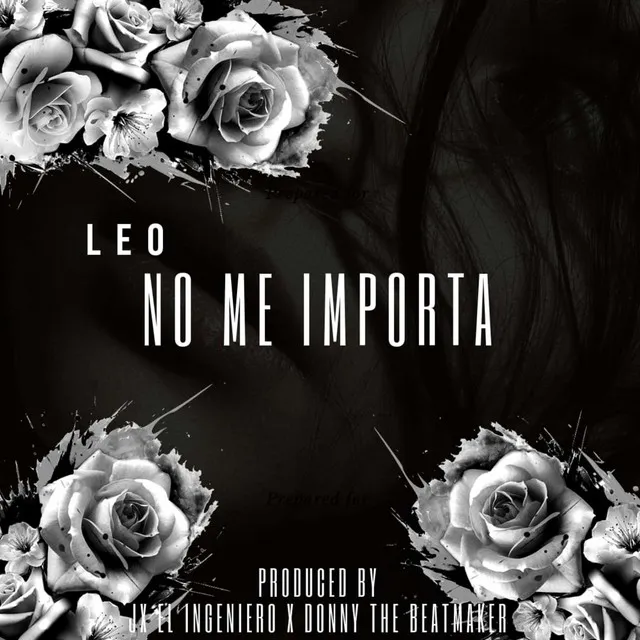 No Me Importa