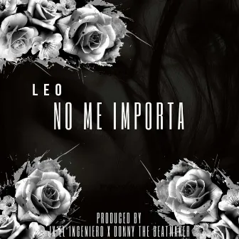 No Me Importa by LEO