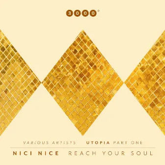 Reach Your Soul by NICI NICE