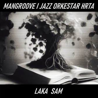 Laka sam (Radio Edit) by Jazz Orkestar HRT-a