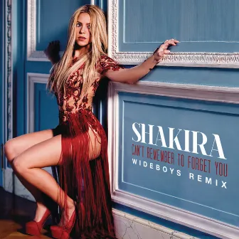 Can't Remember to Forget You (Wideboys Remix) by Shakira