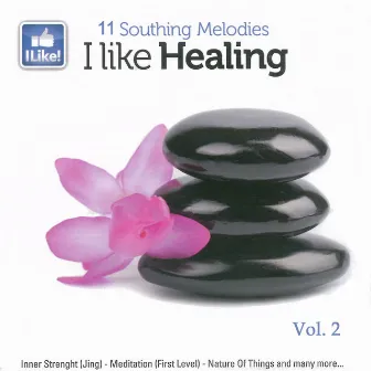 I Like Healing, Vol. 2 by Lin Fu Chan