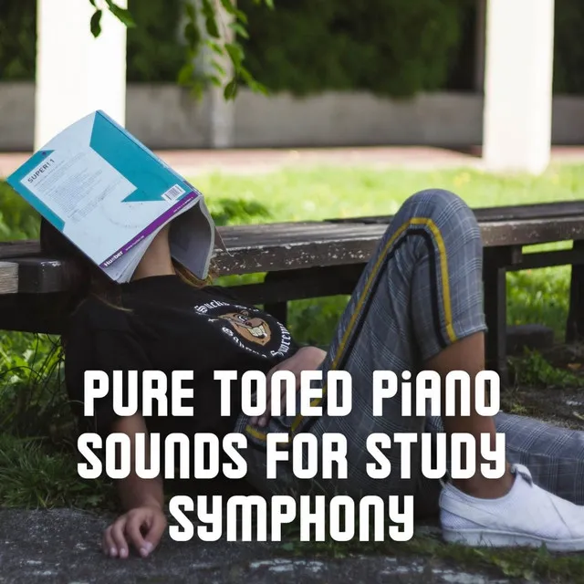 Pure Toned Piano Sounds for Study Symphony