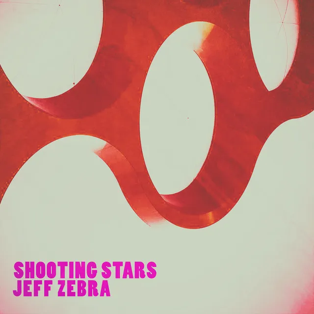 Shooting Stars - Zebra Deep Mix