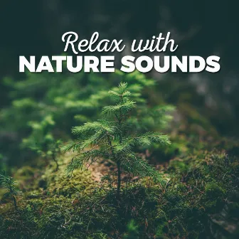 Relax with Nature Sounds by Unknown Artist