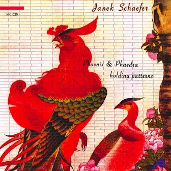 Phoenix & Phaedra Holding Patterns by Janek Schaefer