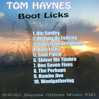 Boot Licks by Tom Haynes