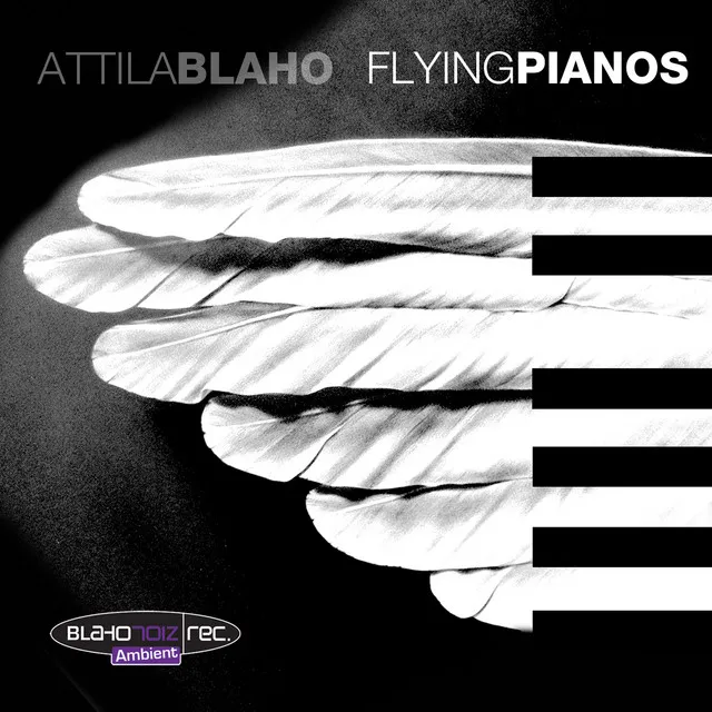 Flying Pianos 7