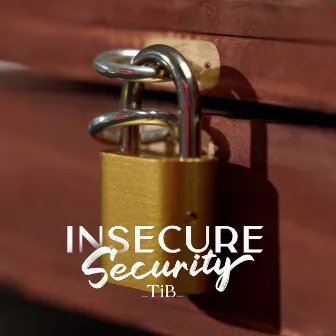 Insecure Security by TiB