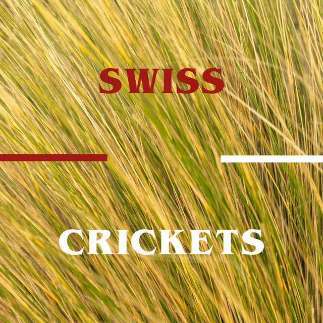 Swiss Crickets Chirp (Schweizer Grillen zirpen)