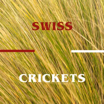 Swiss Crickets Chirp (Schweizer Grillen zirpen) by Echoes of Life