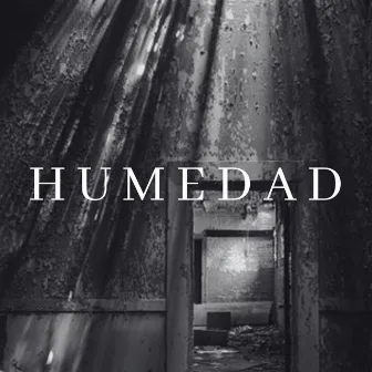 Humedad by Angel Zertuche