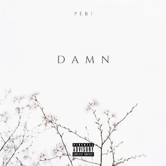 Damn by Lil Peri