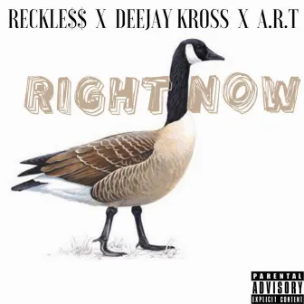 Goose Right Now by Reckle$$