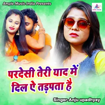 Pardesi Teri Yaad Main by Mantu Upadhyay