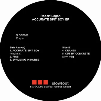 Accurate Spit Boy EP by Robert Logan