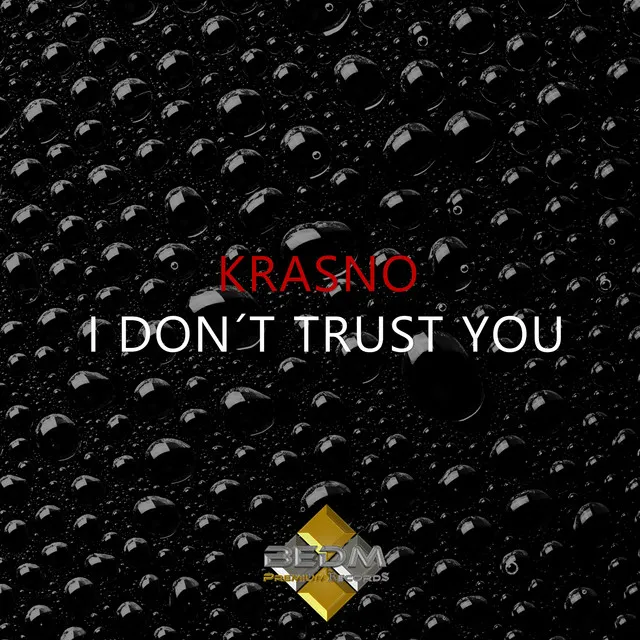 I Don't Trust You (Radio Version)