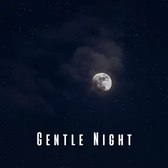 Gentle Night: Chill Music for Sleep Harmony by Night Time Chill Out Playlist