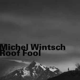 Roof Fool by Michel Wintsch