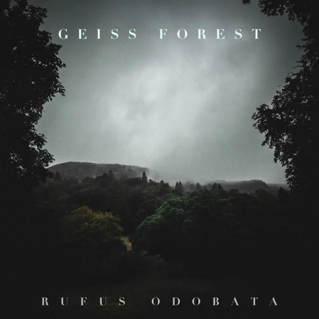 Geiss Forest