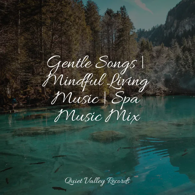 Music for Meditation and Relaxation