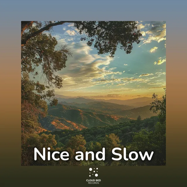 Nice and Slow