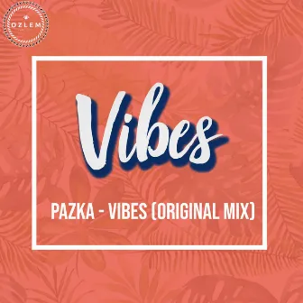 Vibes by Pazka