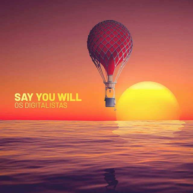 Say You Will