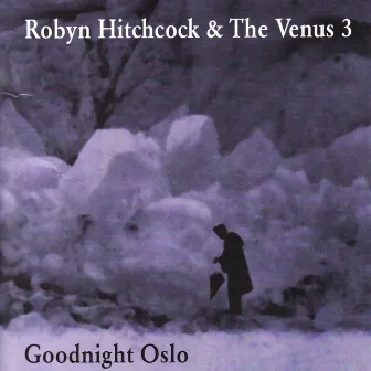 Goodnight Oslo by Robyn Hitchcock & The Venus 3