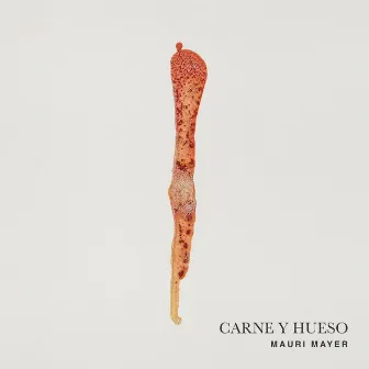 carne y hueso by Mauri Mayer