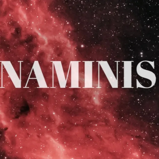 NAMINIS