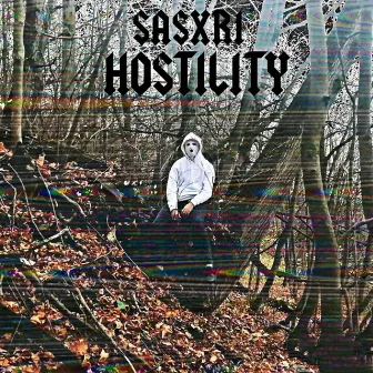 Hostility by SASXRI