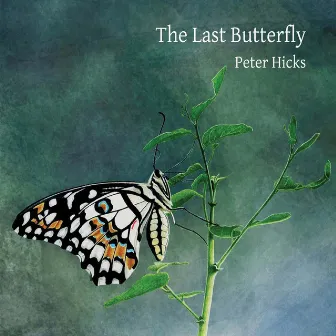 The Last Butterfly by Peter Hicks