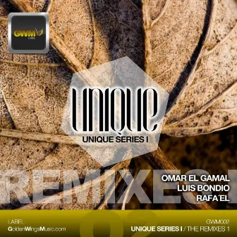 Unique Series I: The Remixes Part1 by Ioan Gamboa