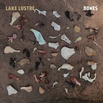 Bones by Lake Lustre