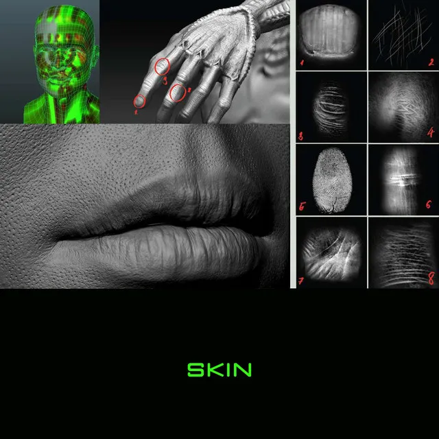 Skin