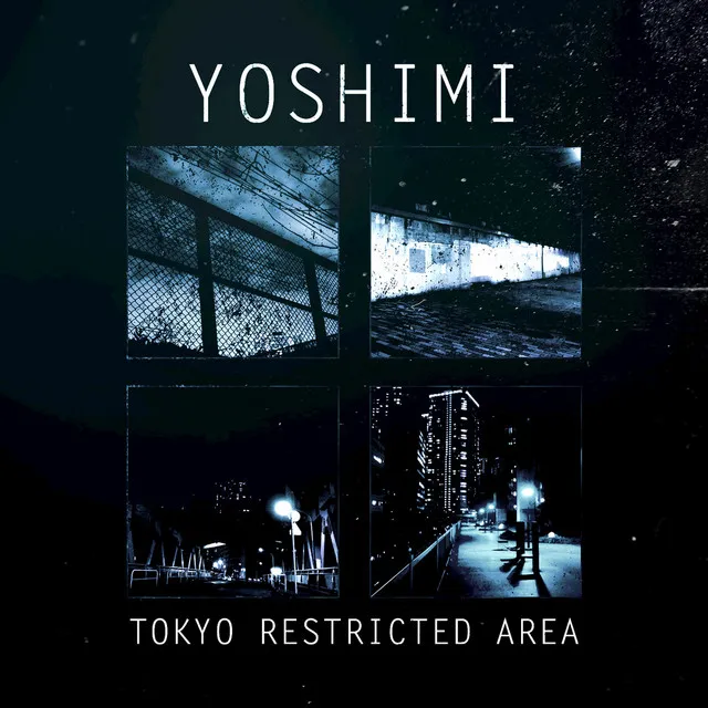 Tokyo Restricted Area