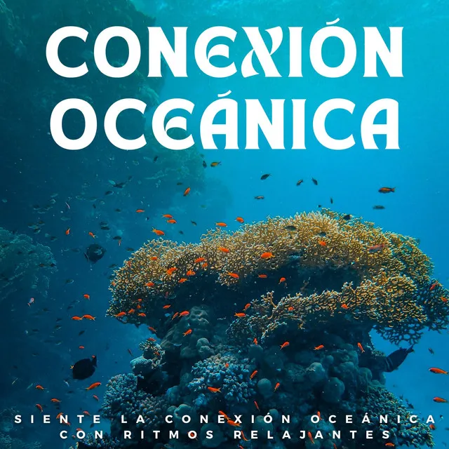 Siente La Conexión Oceánica Con Ritmos Relajantes