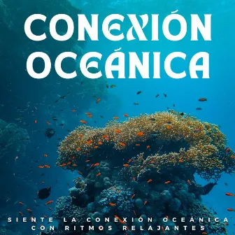 Siente La Conexión Oceánica Con Ritmos Relajantes by 