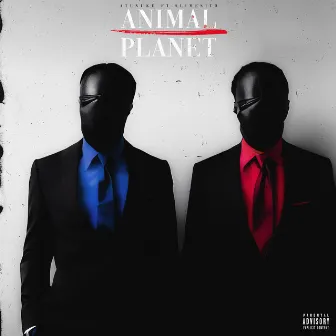 Animal Planet by Unknown Artist